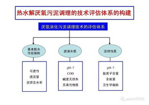 熱水解厭氧污泥新型調理技術的開發與工程應用